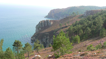 Cliquez ici pour voir l'image (crozon (16).JPG)